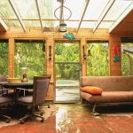 How to address mold after a flood