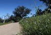 Many healthy hiking adventures can be found in southwest Riverside County