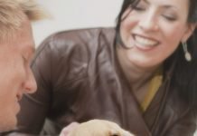 Brush up on pet dental health