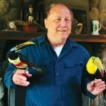 Toucans reside in Fallbrook