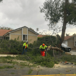 Wind-driven power outages occur countywide