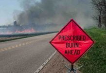 Federal firefighters conducting prescribed burn near Elsinore