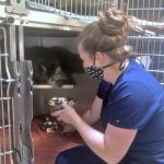 Coping with COVID-19: Animal Friends of the Valleys