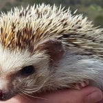 Wild Wonders offers monthly “Wild Saturdays Mornings’