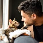 Welcome a foster kitten your home