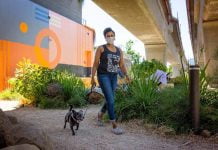 Get Fido moving with five joint health tips from Front of the Pack