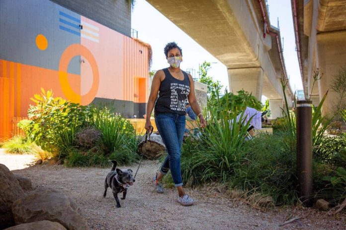 02-26-21-PETS-Walk your dog-cphoto
