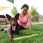 Best Friends Animal Society celebrates National Dog Training Month