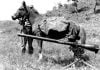 Temecula Valley Historical Society presents Korean War veteran Sgt. Reckless