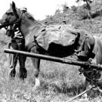 Temecula Valley Historical Society presents Korean War veteran Sgt. Reckless