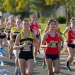 Great Oak tops all at Southwestern League cross-country finals