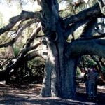 Erle Stanley Gardner’s residence in Temecula
