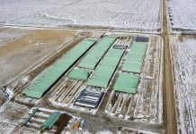 Biden overstepped constitutional authority when he revoked Keystone Pipeline Permit, multiple states allege in lawsuit