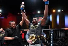 Francis Ngannou stops Miocic, claims UFC heavyweight title