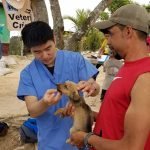 Pet Wellness Center in Murrieta offers after-hours emergency services