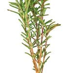 Visit Temecula Valley shares spring recipes from Temecula Valley chefs