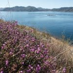 Bicyclist rescued in Winchester after injury