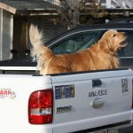 Mayor Max apparel is now available