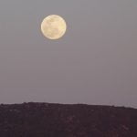 Erinne Roscoe captures spring in photos