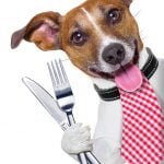 Fast food for pooches: How to safely feed your pup if you’ve run out of food