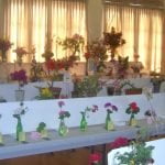 Elsinore Woman’s Club is in full bloom