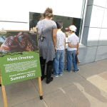 Western Science Center Museum again offers outdoor educational opportunity