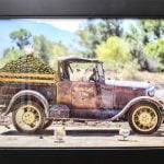 Murrieta resident takes home 1st place for his photo in annual Art of the Avocado competition