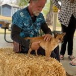 And The Horse You Rode In On social club event draws crowds