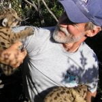 Mountain lion conservation expert to join teachers at Santa Rosa Plateau forum