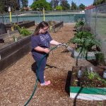 Acceptance blooms at community garden
