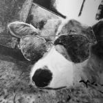 Mt. San Jacinto College (MSJC) Art Gallery to host annual student exhibit.