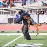 Peace officers and their canine partners to compete in K9 trials