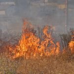 UPDATE: Blaze West of Diamond Valley Lake in Winchester Burns Nearly 30 Acres