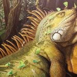 Reflections of Nature and Beyond now showing at Fallbrook Art Center