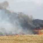 Forward Spread of Brush Fire in Murrieta Stopped