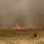Â Blaze blackens five acres north of Lake Skinner