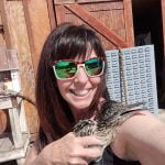 Aguanga woman befriends roadrunner
