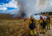 Firefighters to conduct prescribed burn in Pinyon Pines