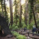 Popular Big Sur trail to reopen after 13-year closure