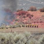 Bautista Fire in Anza burns 95 acres