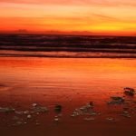 Possible Sewage Contamination Closes Tijuana Slough Shoreline