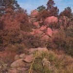 Flats Fire photo essay by Zyra Raguro