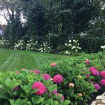 What to know before planting around your property