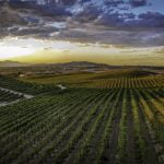 USA Today 10 Best Readers’ Choice nominates Temecula Valley Wine Country for Best Wine Region
