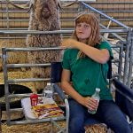Anza residents’ livestock win Orange County Fair awards