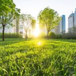 Study finds economic prosperity is associated with a cleaner environment