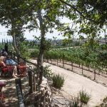 The Winery Review: Hart Winery