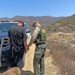 Deputy nabbed for allegedly transporting large amount of narcotics on I-10