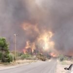 Rock Fire in Anza believed to be man-made, Cal Fire looks for owners of nearby marijuana cultivation site