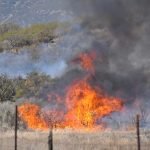 Â Crews to conduct prescribed burn near Mountain Center